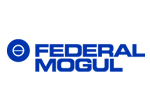 www.federalmogul.com